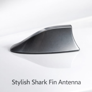 כריש אפור לרכב